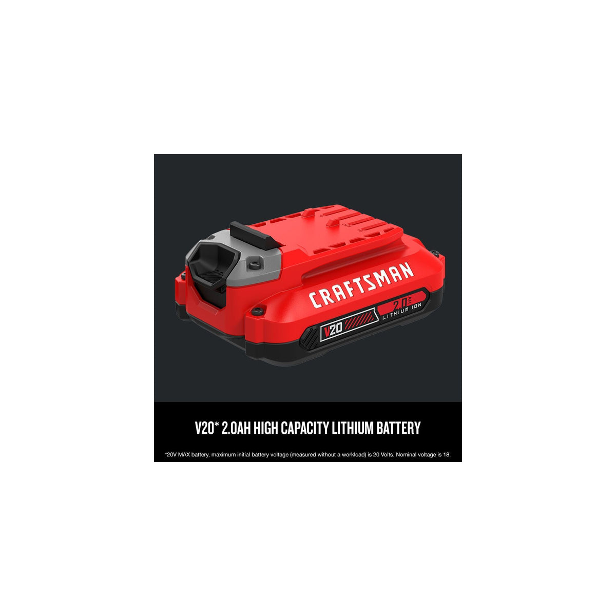 Lithium Ion Battery C36334
