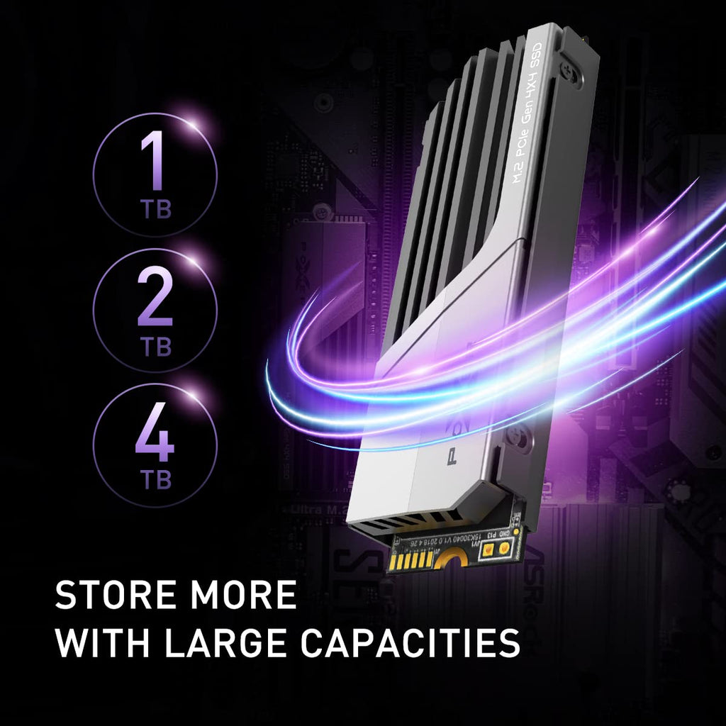 4TB PCIe Gen4 M.2 2280 SSD with PS5 Heatsink H721191