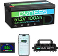 48V 100Ah Lithium Golf Cart Battery with Charger A21515
