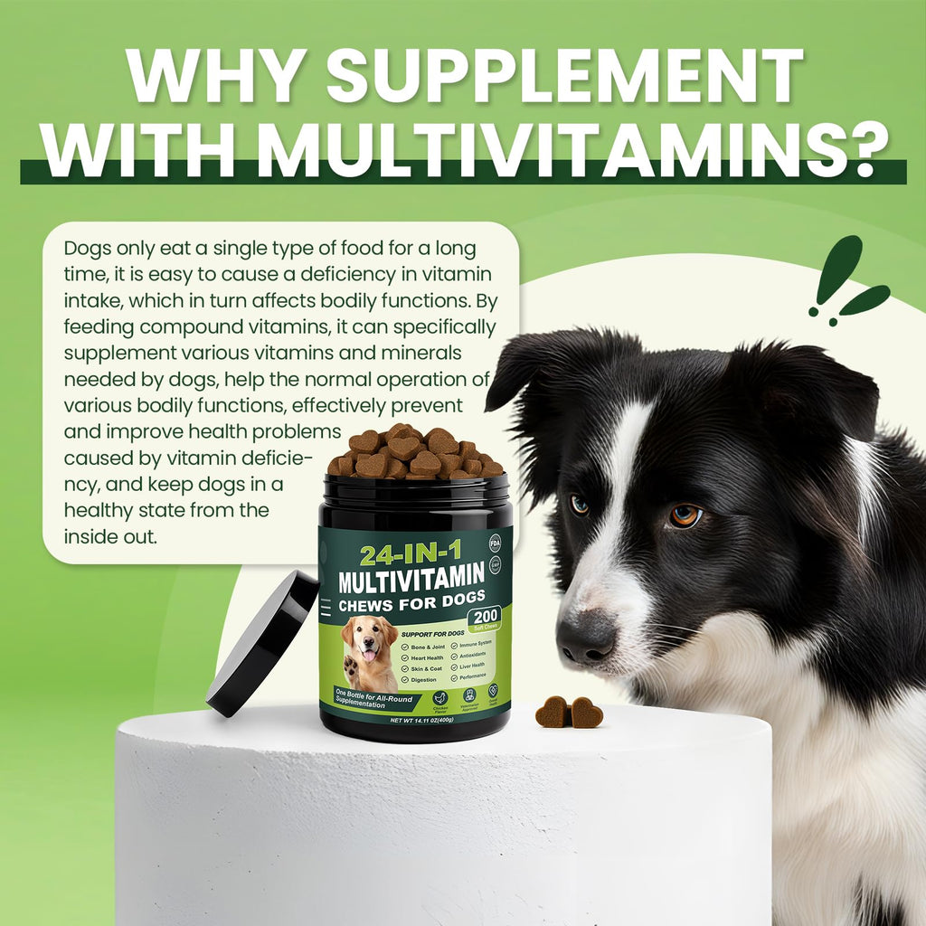 Dog Vitamins and Supplements 200 Ct Multivitamin M896