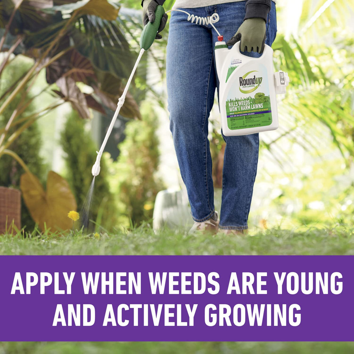 All-in-One Weed Killer for Lawns D3574