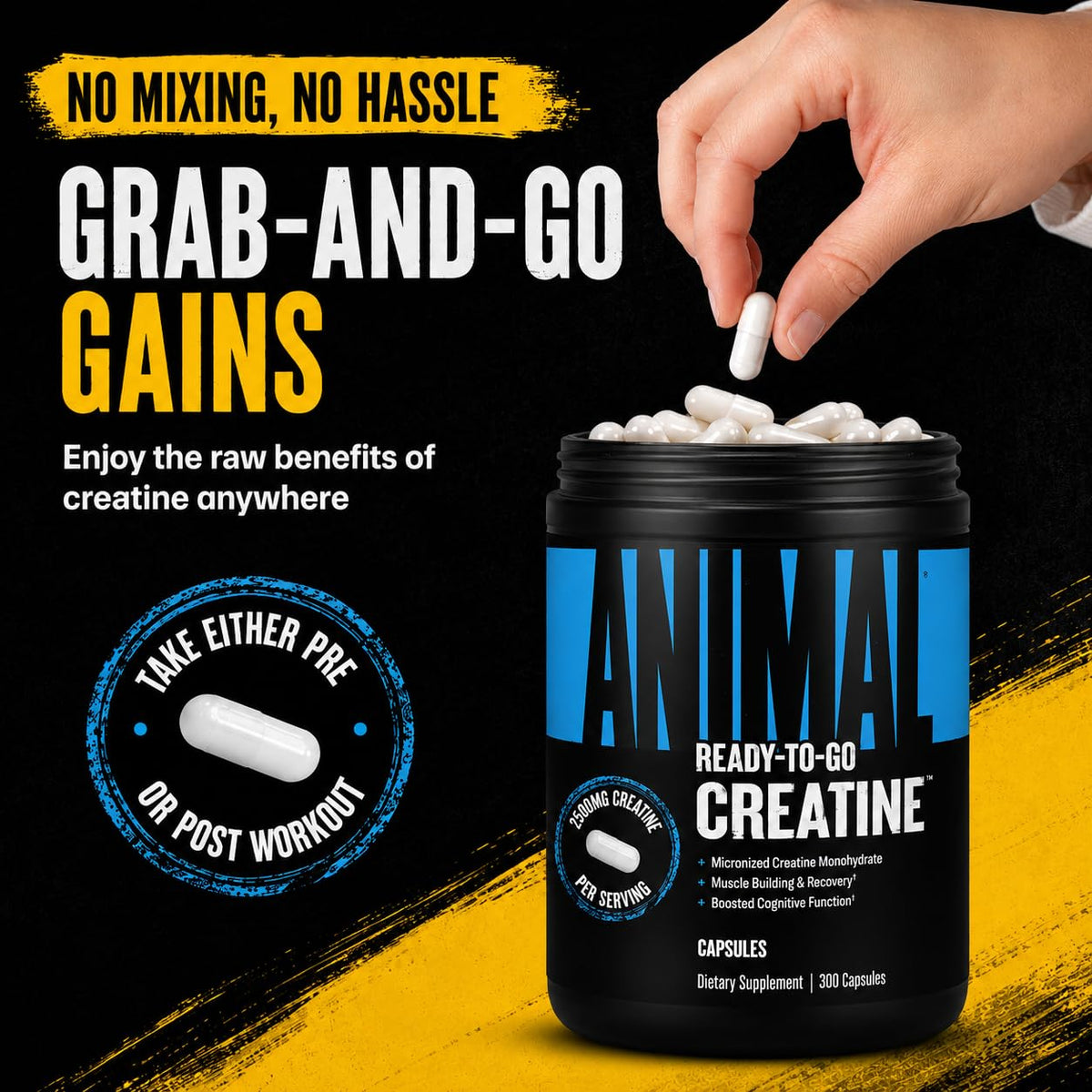 Creatine Monohydrate Powder Capsules 300 Count B947850