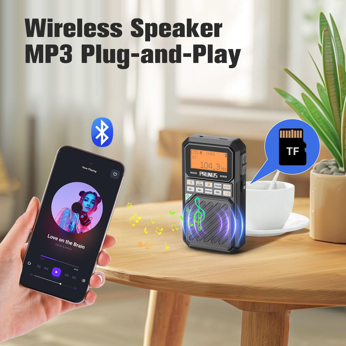 Portable AM FM Radio with Bluetooth Y310419