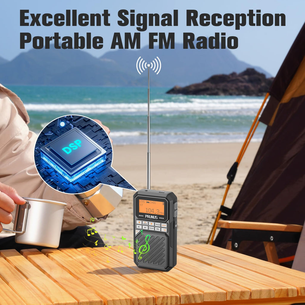 Portable AM FM Radio with Bluetooth Y310419