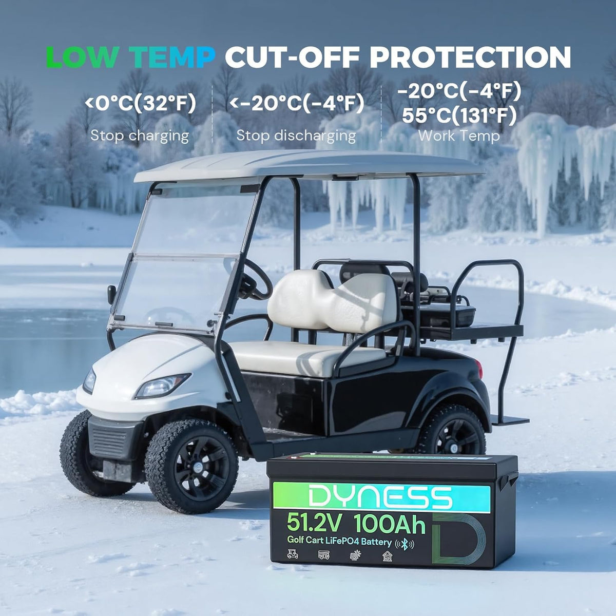 48V 100Ah Lithium Golf Cart Battery with Charger A21515
