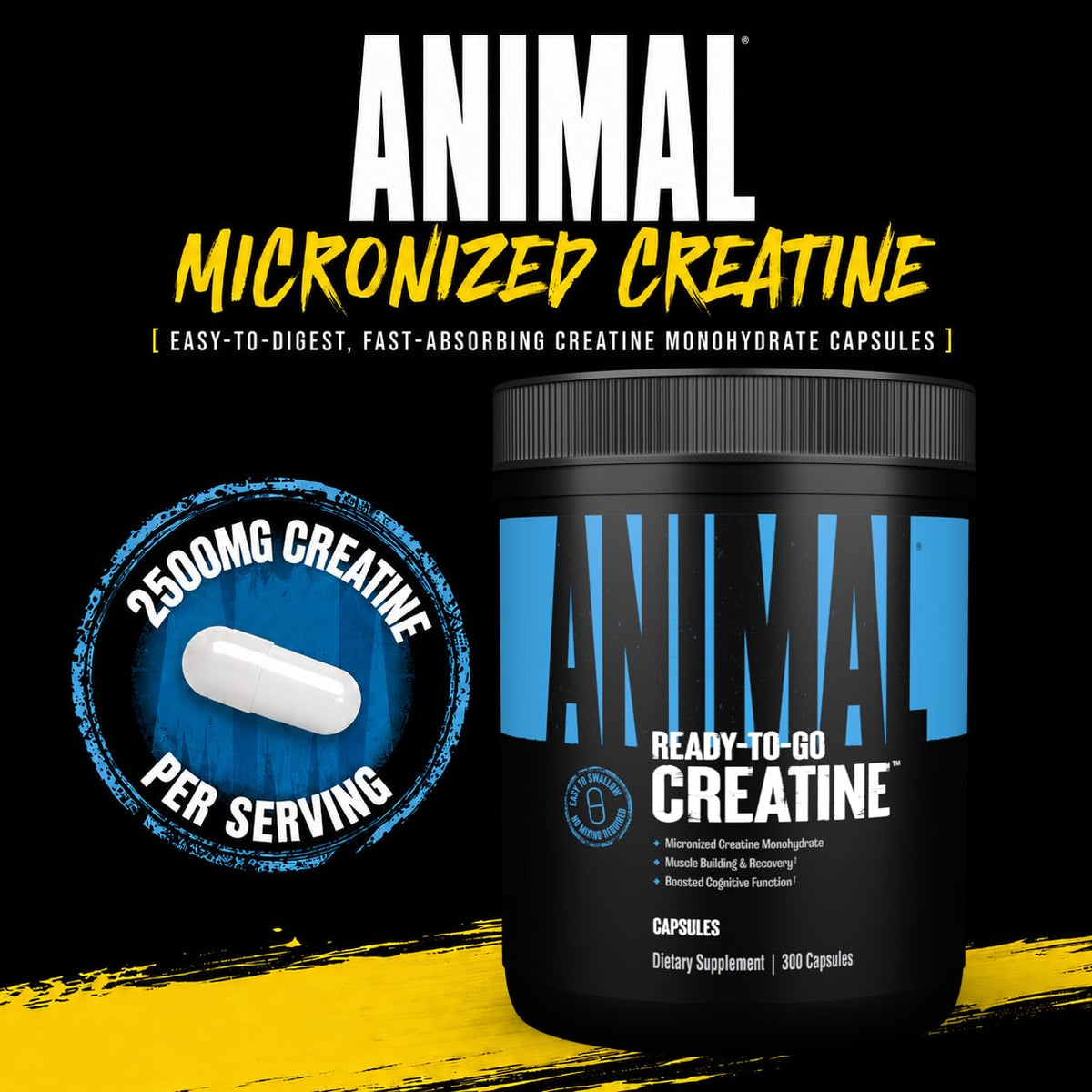 Creatine Monohydrate Powder Capsules 300 Count B947850