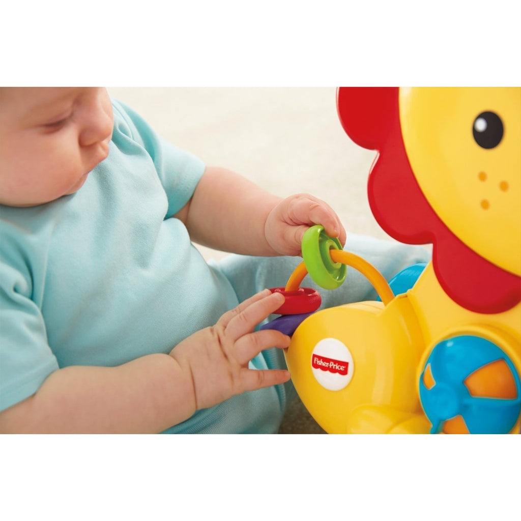 Musical Lion Walker with Lights Sounds & Activities D1827