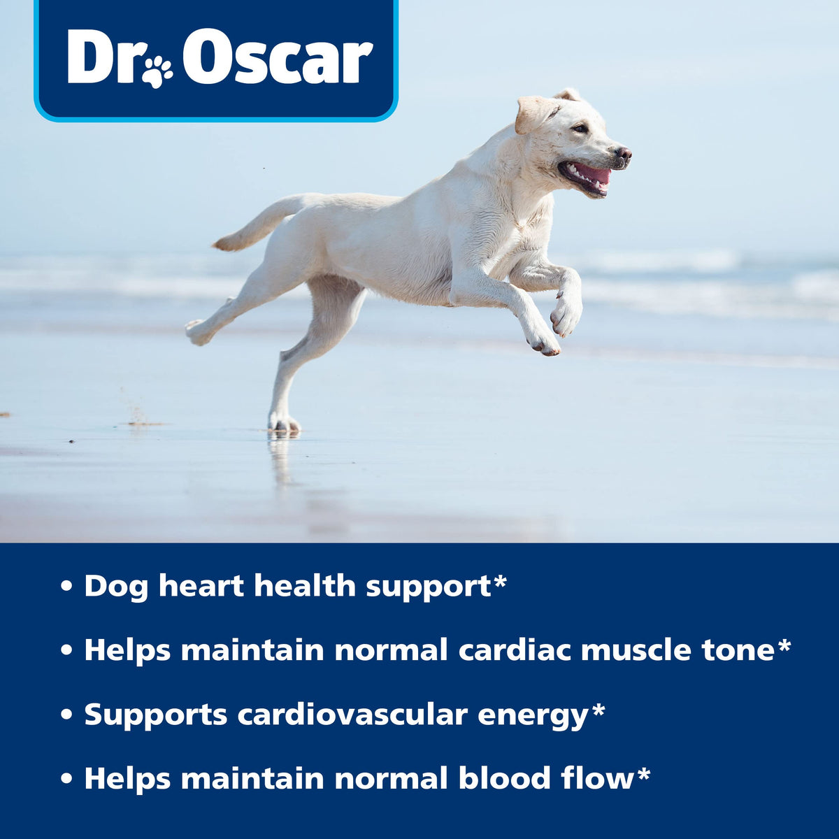 Taurine Supplement for Dogs 120ct U567