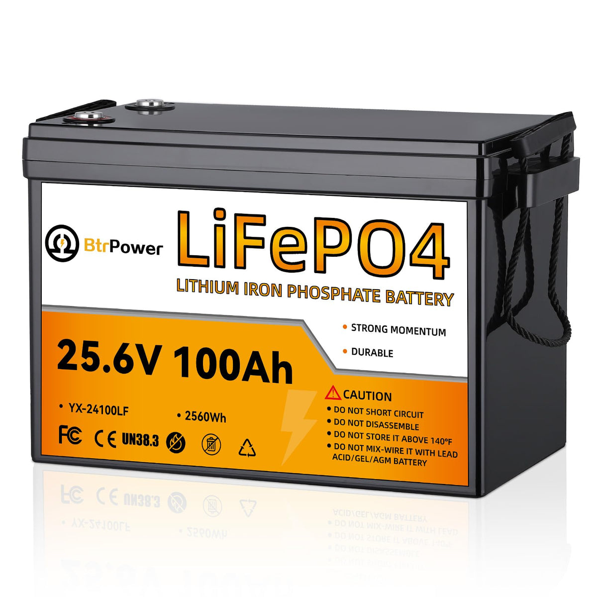 24V 100Ah Deep Cycle LiFePO4 Battery T265833