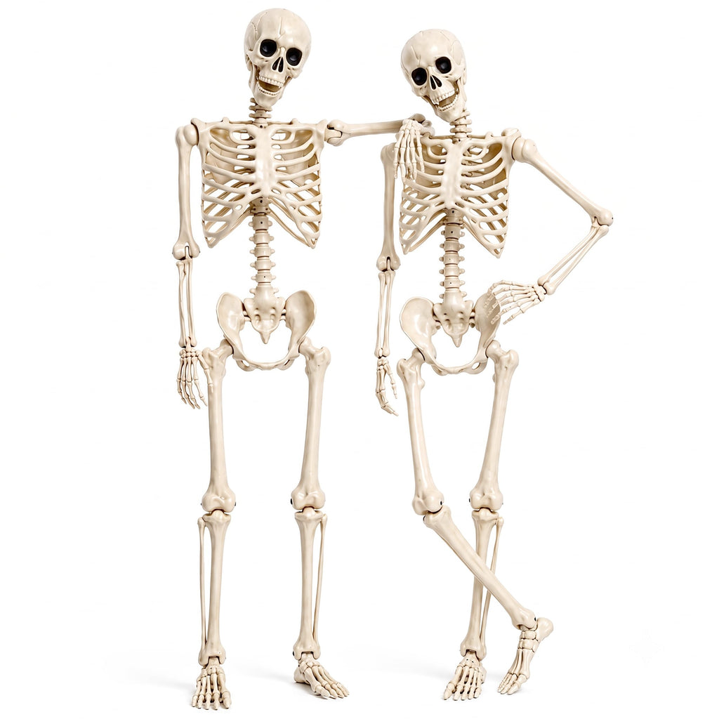 2 Pack 5.4ft Life Size Skeleton with Movable Joints N15210