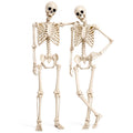 2 Pack 5.4ft Life Size Skeleton with Movable Joints N15210