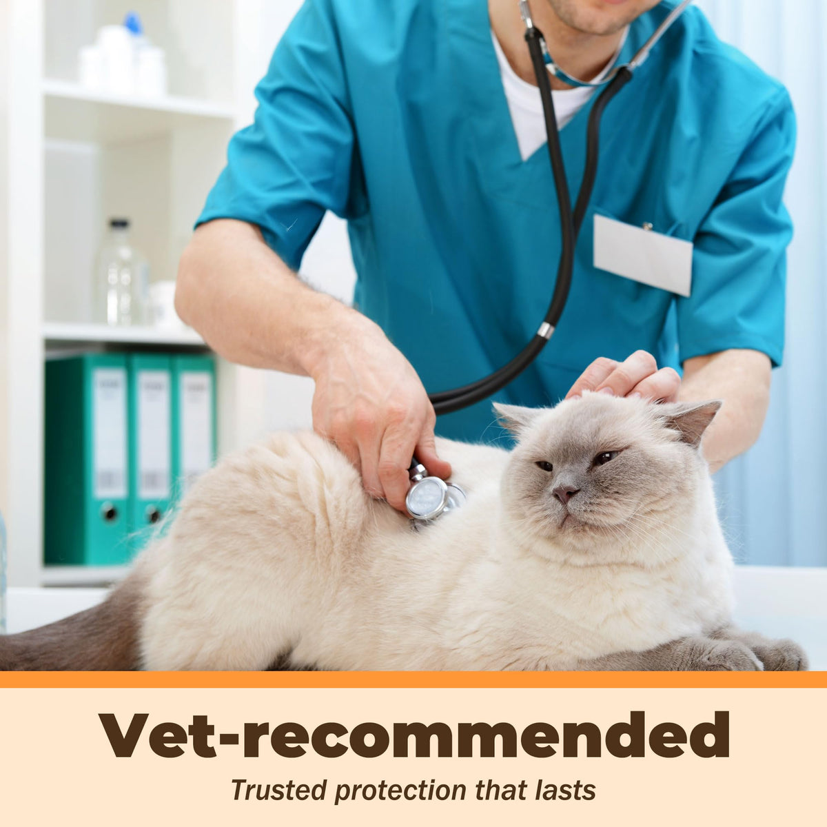 Fenbendazole Liquid 10% Dewormer 150ml Y277