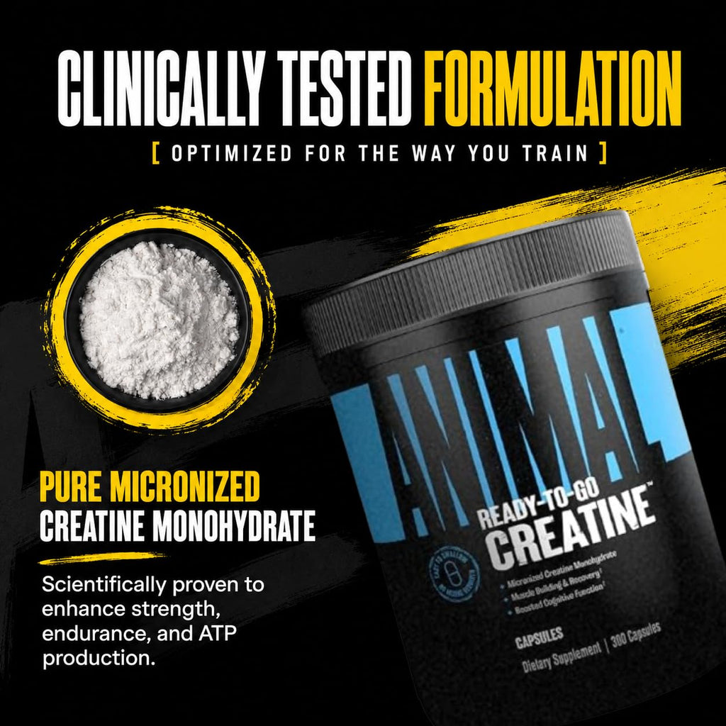 Creatine Monohydrate Powder Capsules 300 Count B947850
