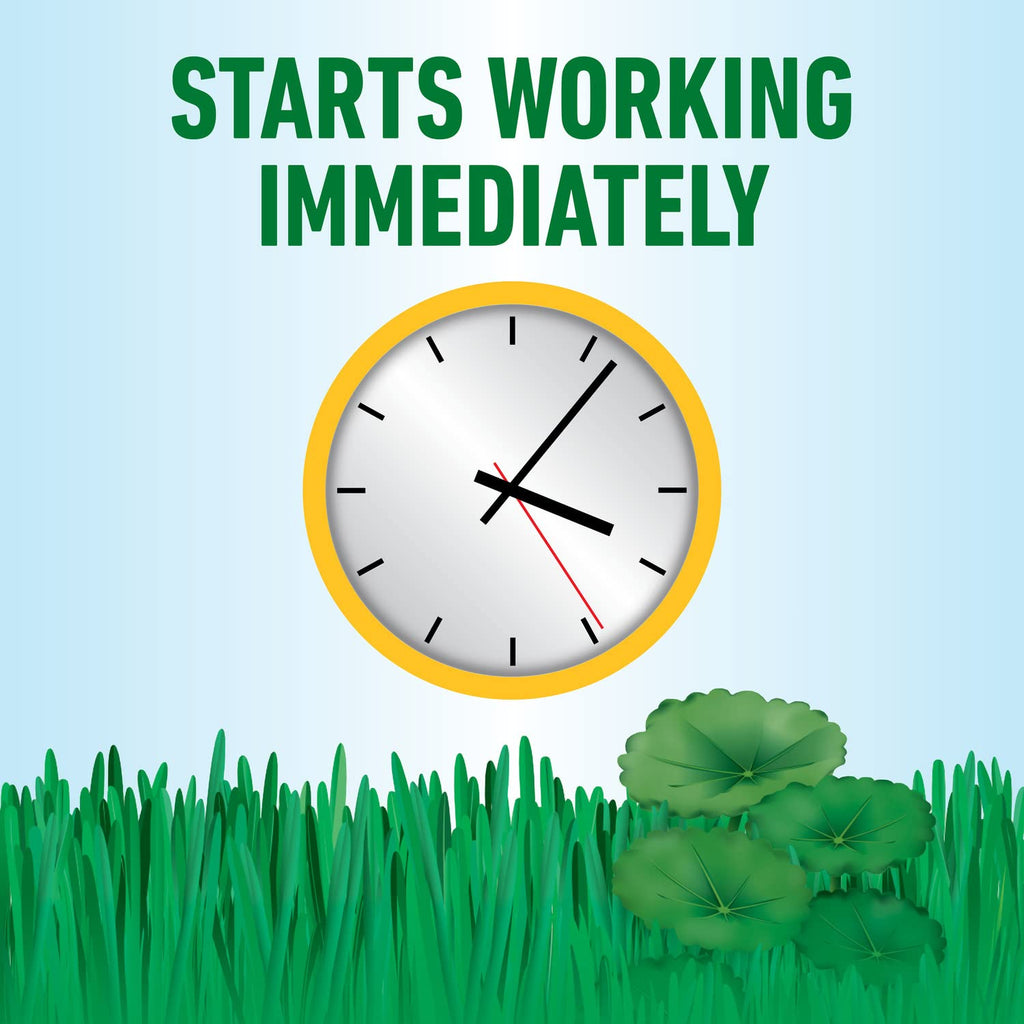 All-in-One Weed Killer for Lawns D3574