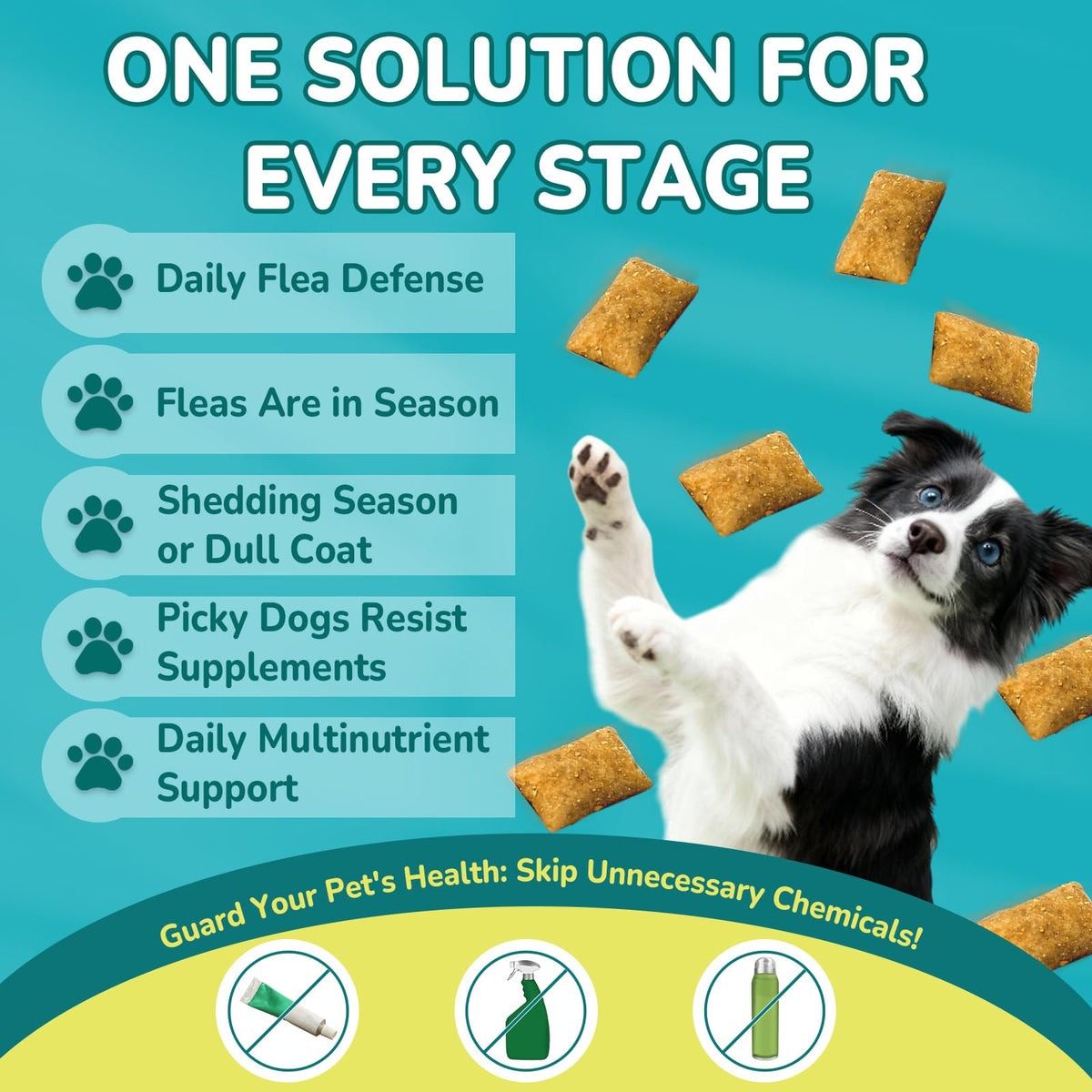 Flea and Tick Prevention for Dogs P136