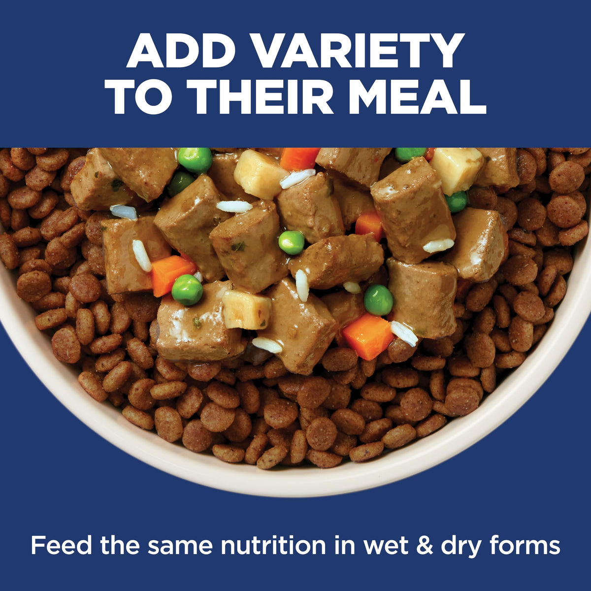 Sensitive Stomach & Skin Large Breed Dry Dog Food V752259