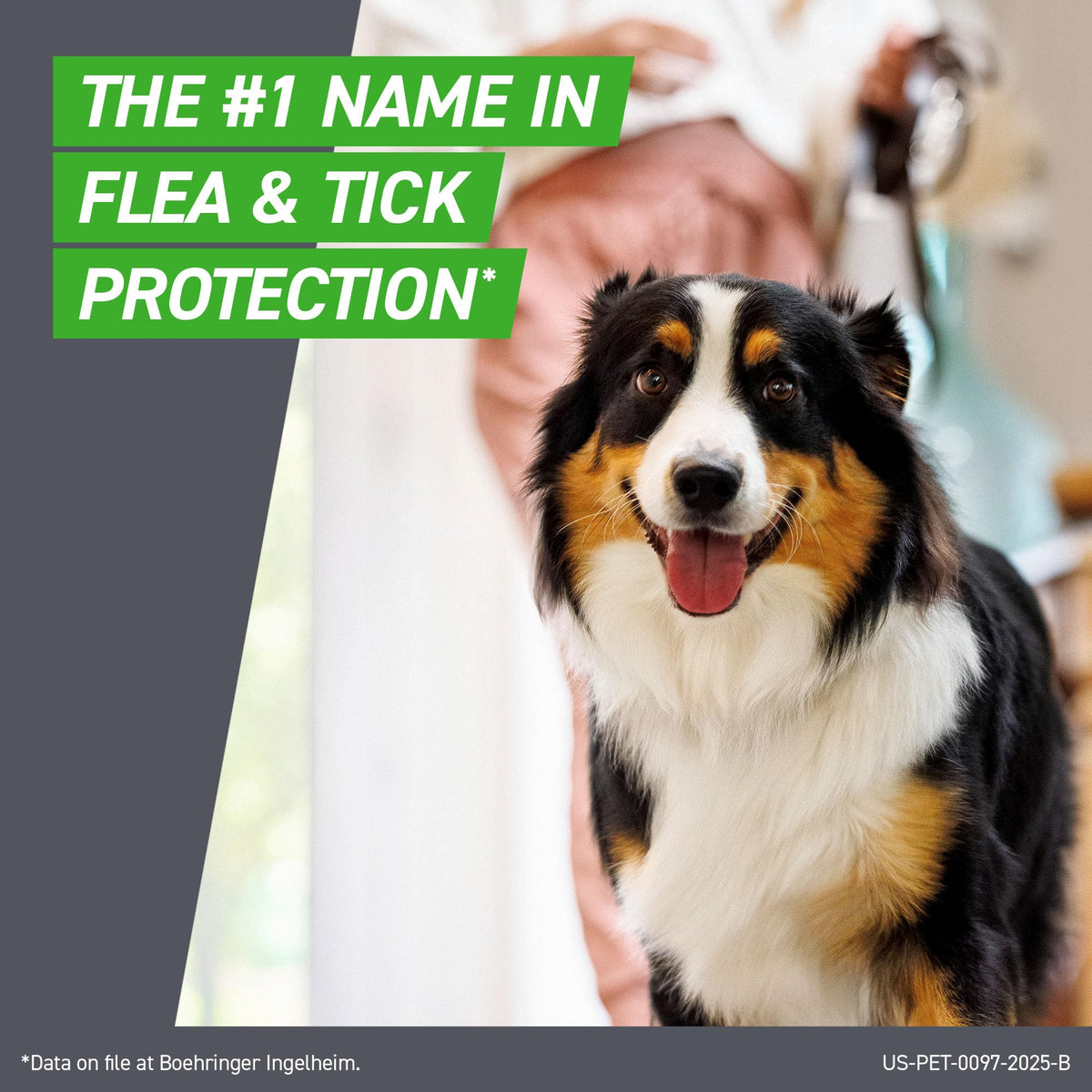Flea & Tick Spot Treatment for Small Breed Dogs 5-22 lbs V58728