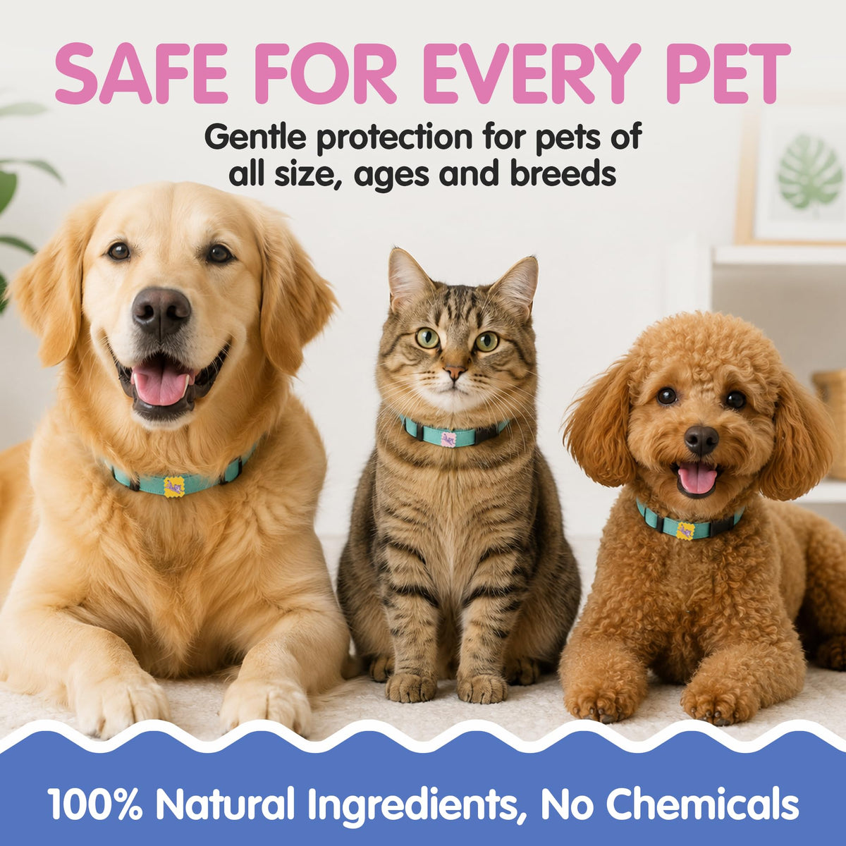 Tick Repellent Pet Patches for Dogs and Cats, 48 Count B883583