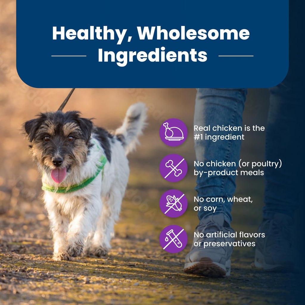 Chicken Adult Dry Dog Food, 4 lb W425
