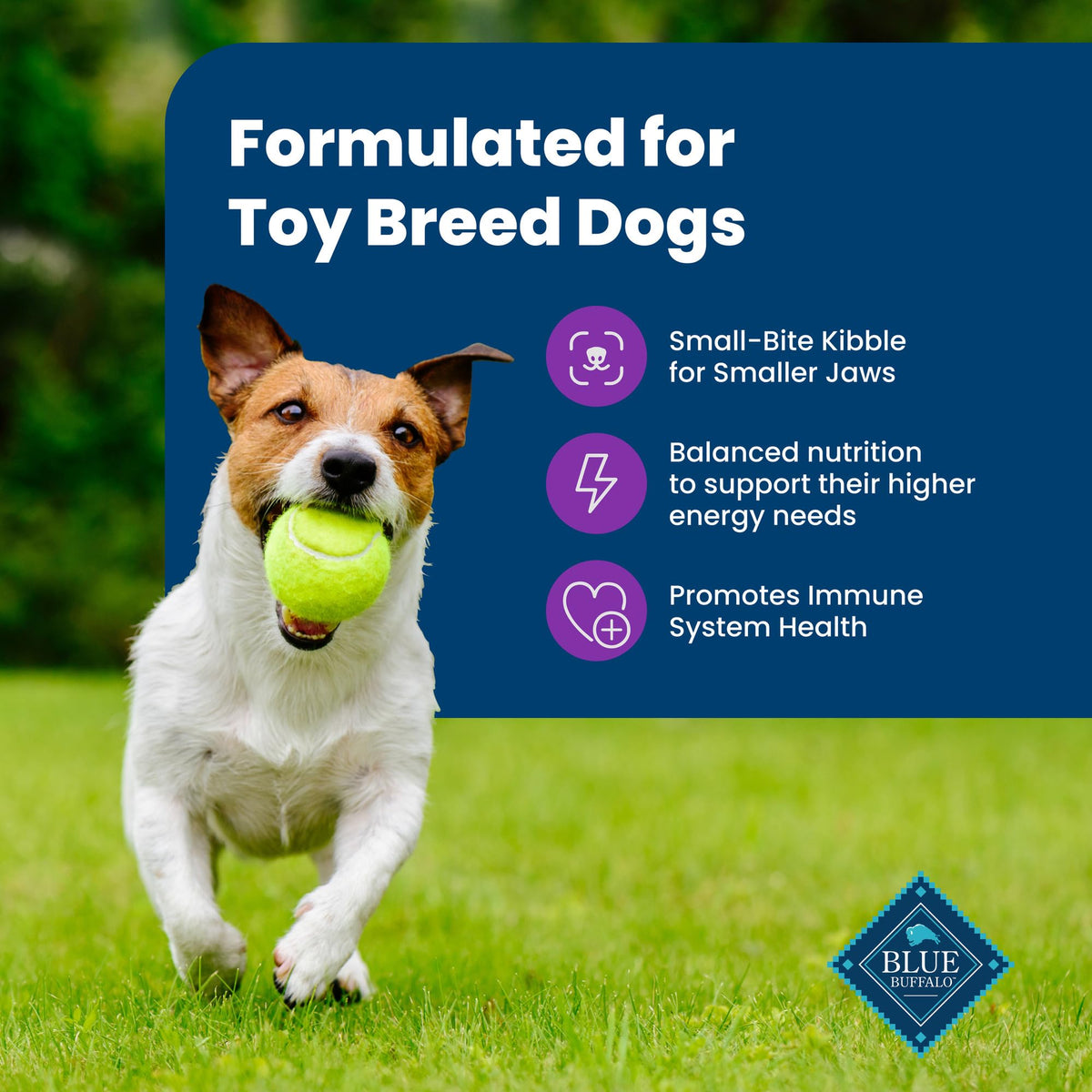 Chicken Adult Dry Dog Food, 4 lb W425