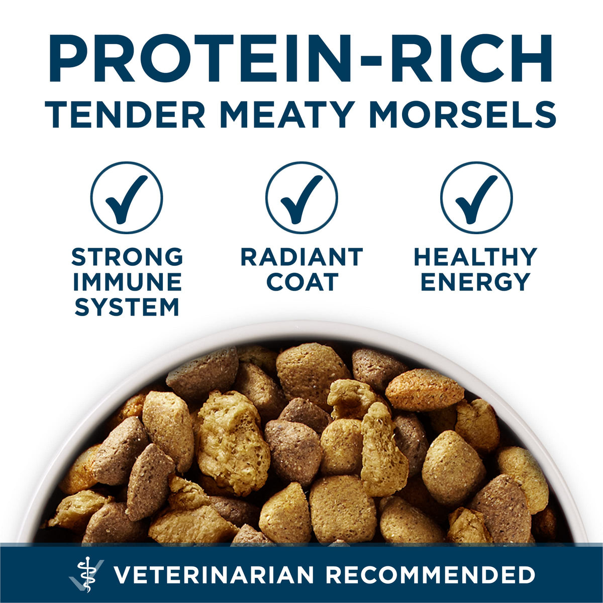 Chicken Large Breed Dry Dog Food 31.1 lb Bag X8325