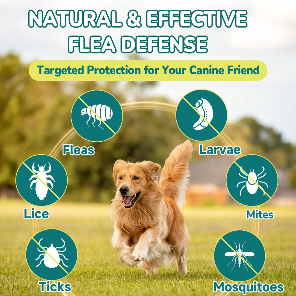 Flea and Tick Prevention for Dogs P136