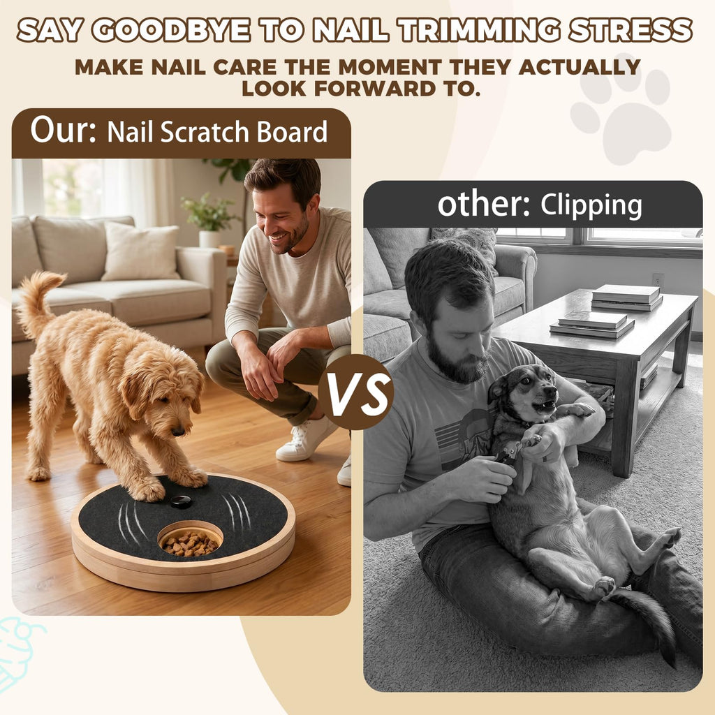 Dog Nail Scratch Board with Treat Box R377