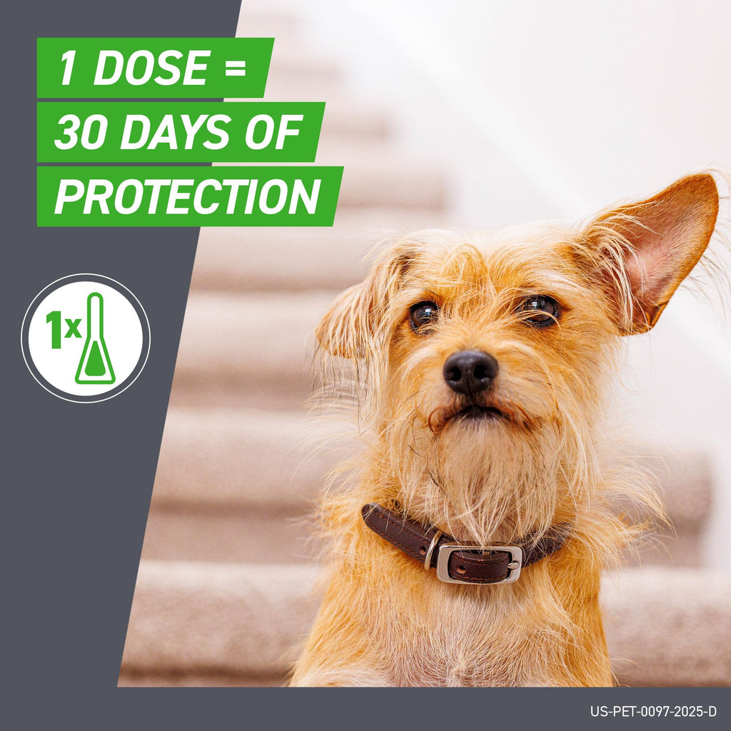 Flea & Tick Spot Treatment for Small Breed Dogs 5-22 lbs V58728