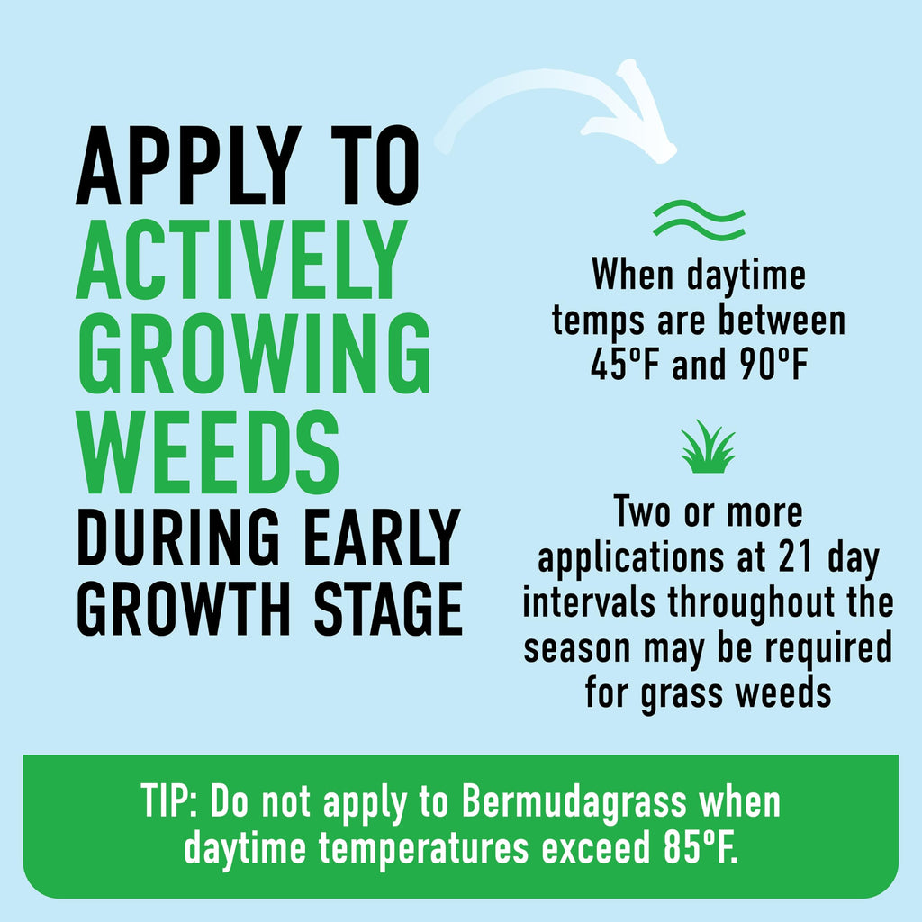 Tough Weed Killer for Northern Grasses D551369