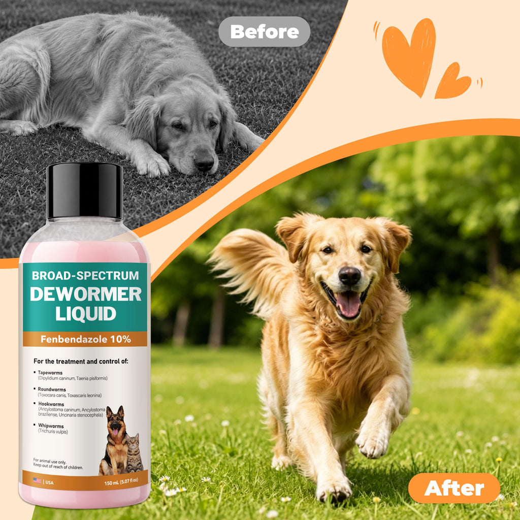 Fenbendazole Liquid 10% Dewormer 150ml Y277