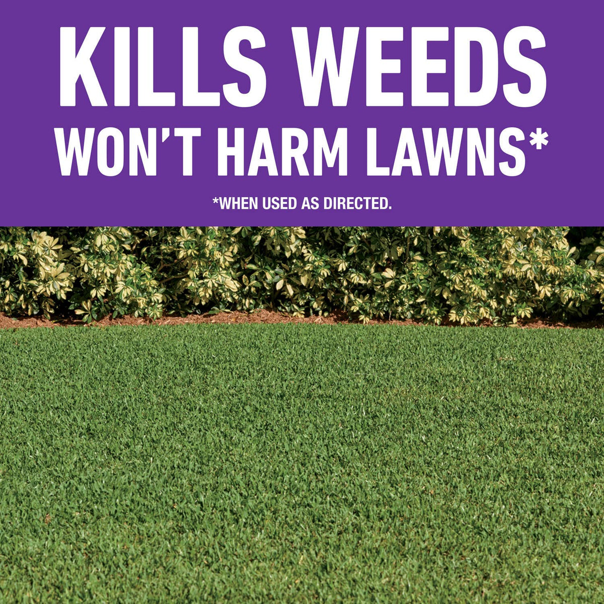 All-in-One Weed Killer for Lawns D3574