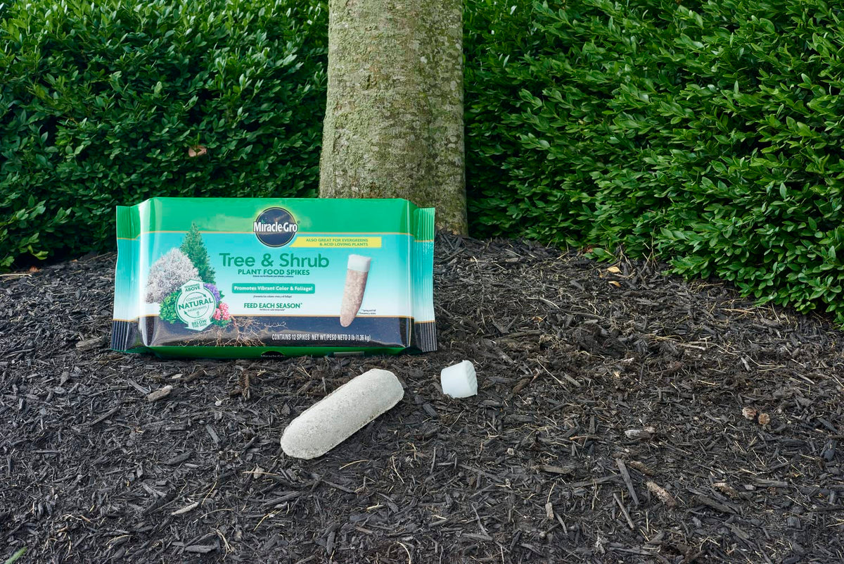 Tree & Shrub Plant Food Spikes 12 Spikes 2-Pack Z783453
