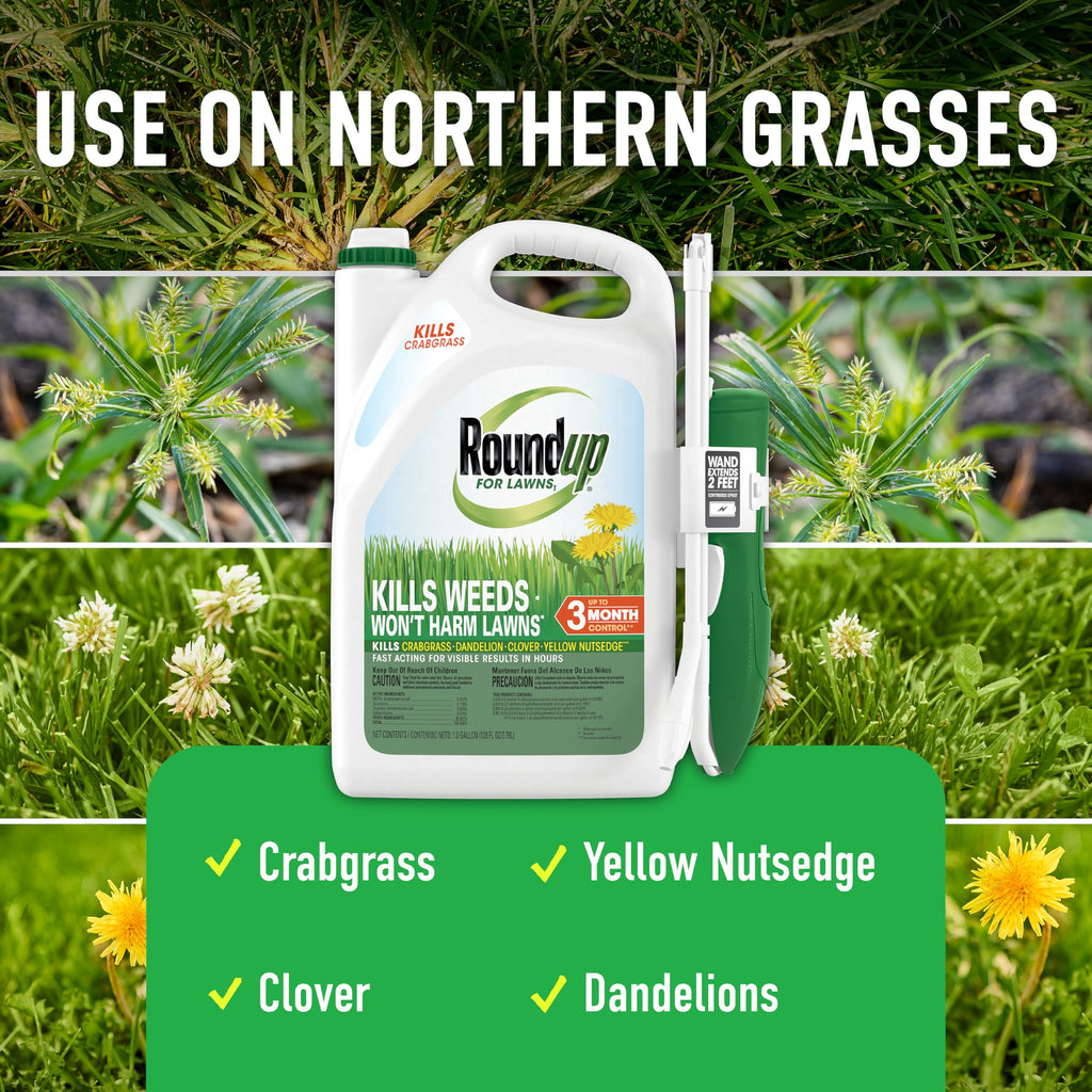 Tough Weed Killer for Northern Grasses D551369