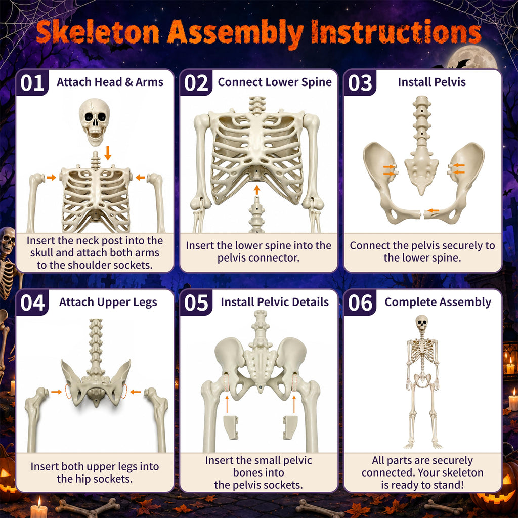 2 Pack 5.4ft Life Size Skeleton with Movable Joints N15210